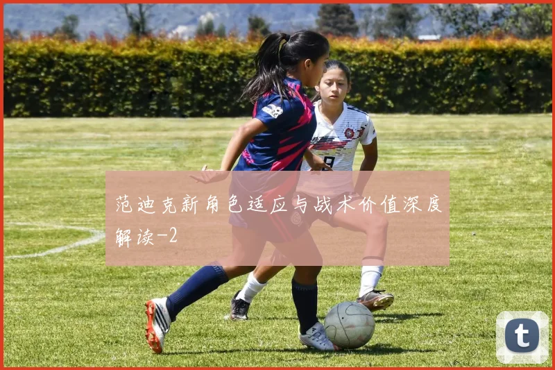 范迪克新角色适应与战术价值深度解读